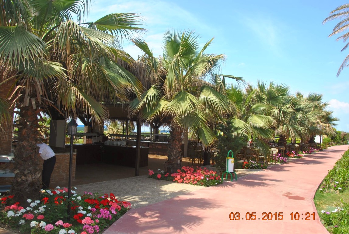 imagini hotel NASHIRA RESORT SIDE